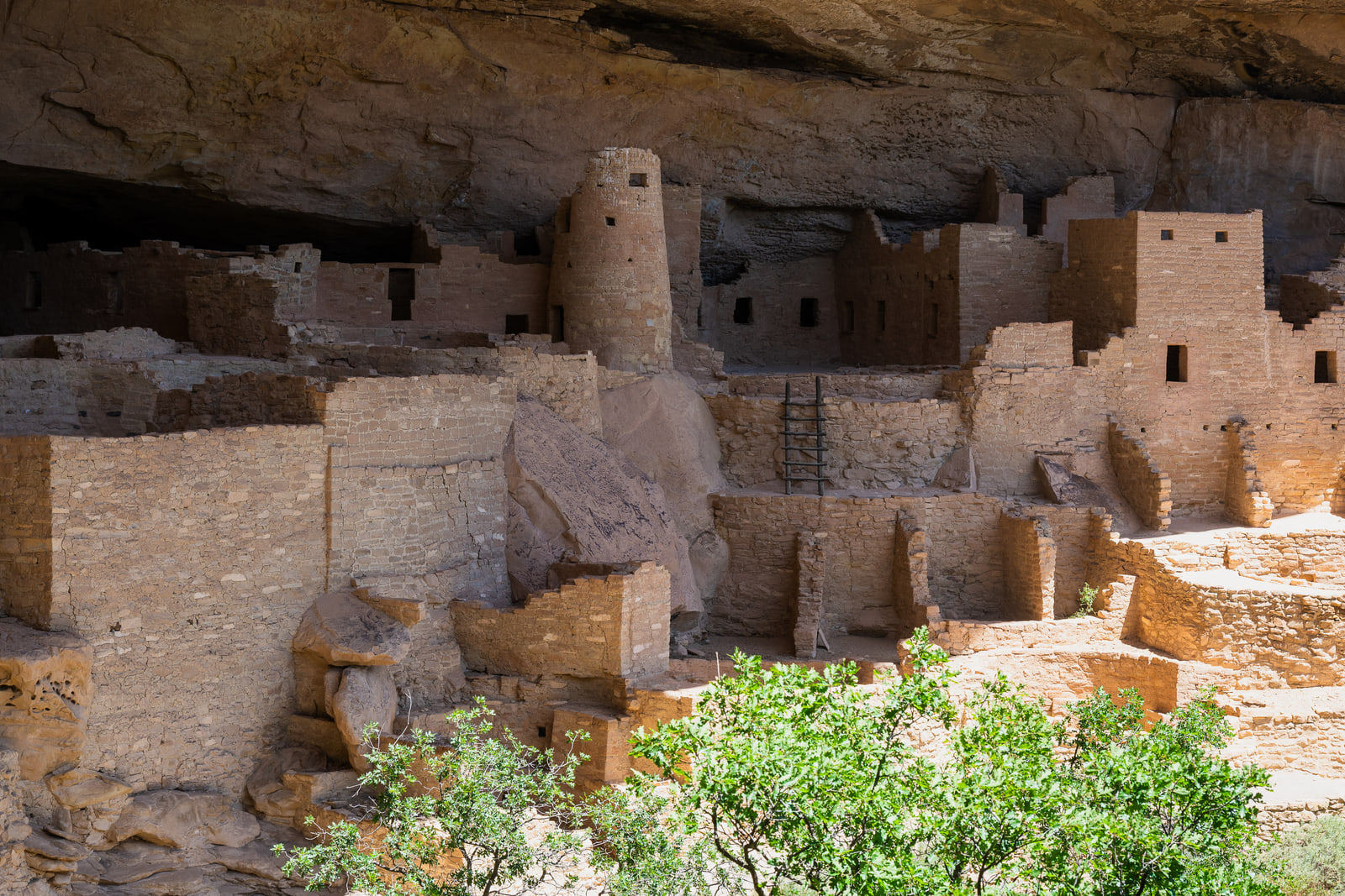 A wide view of a terraced ancient stone village built into a sandstone alcove, with green shrubs growing along its base.