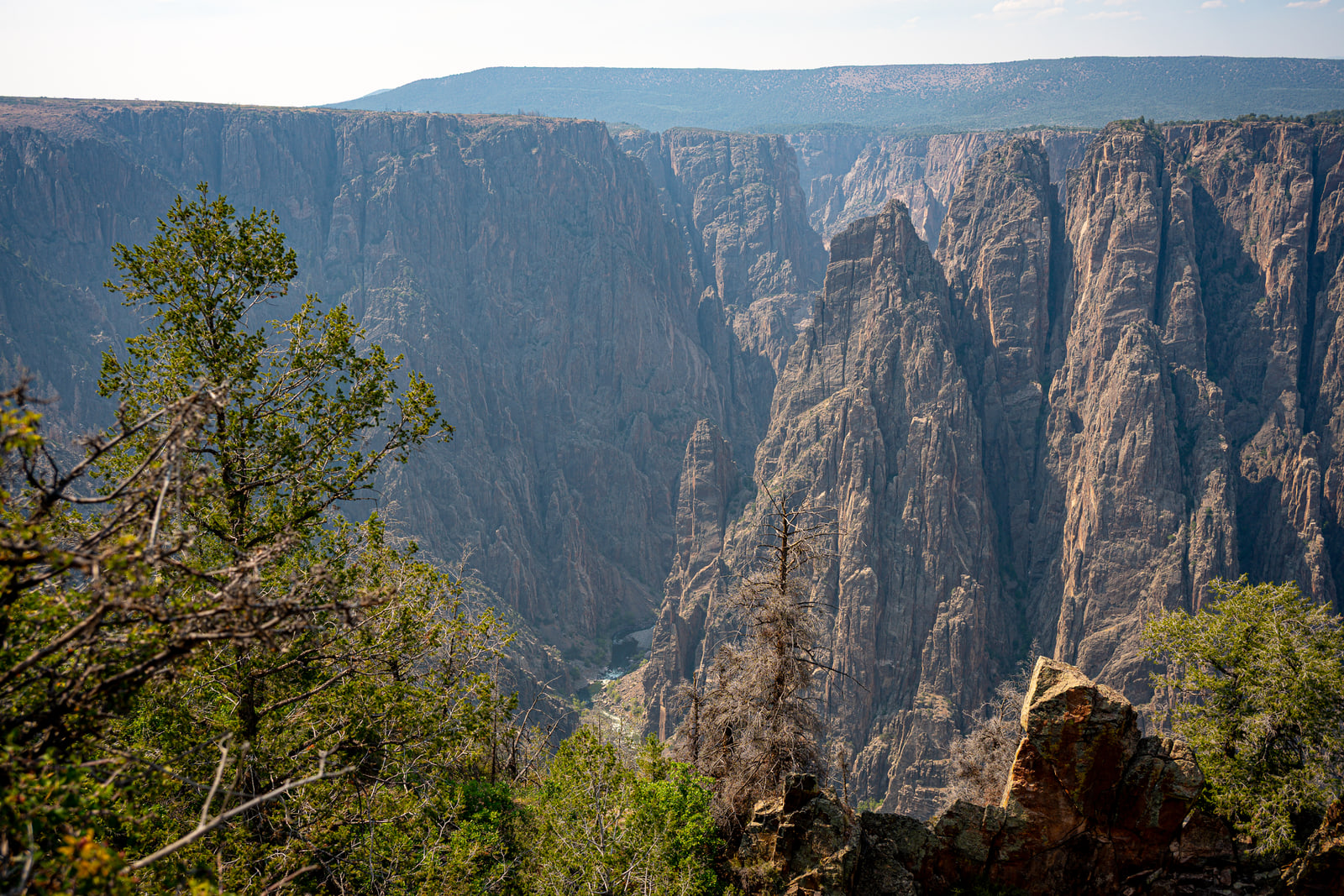 Sunlit rock pinnacles rise from a deep grey canyon with a thin river far below, framed by a juniper tree.
