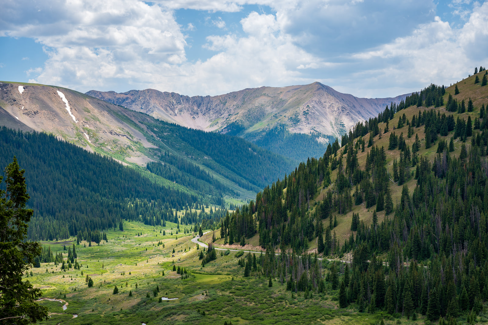 A green alpine valley flanked by forested slopes with a scree-streaked ridge behind it under tall cumulus clouds.