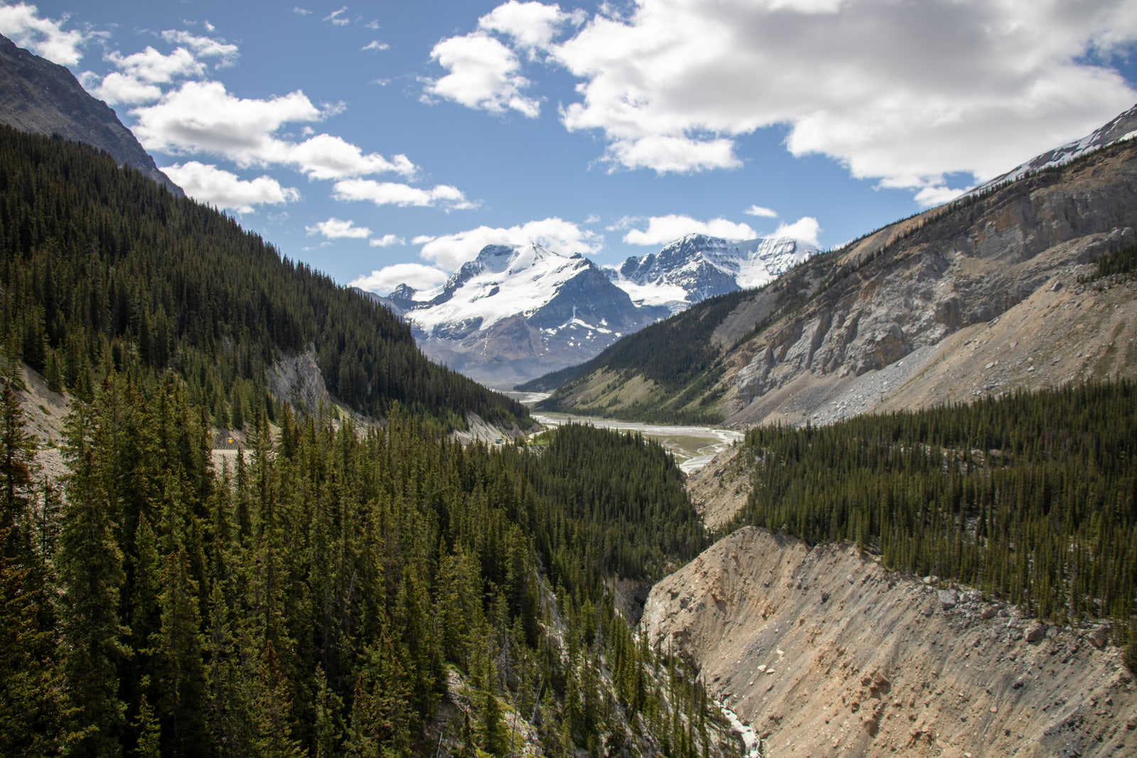 A forested glacial valley narrowing between a green slope and a grey eroded wall toward distant snow-covered peaks under tall cumulus clouds.