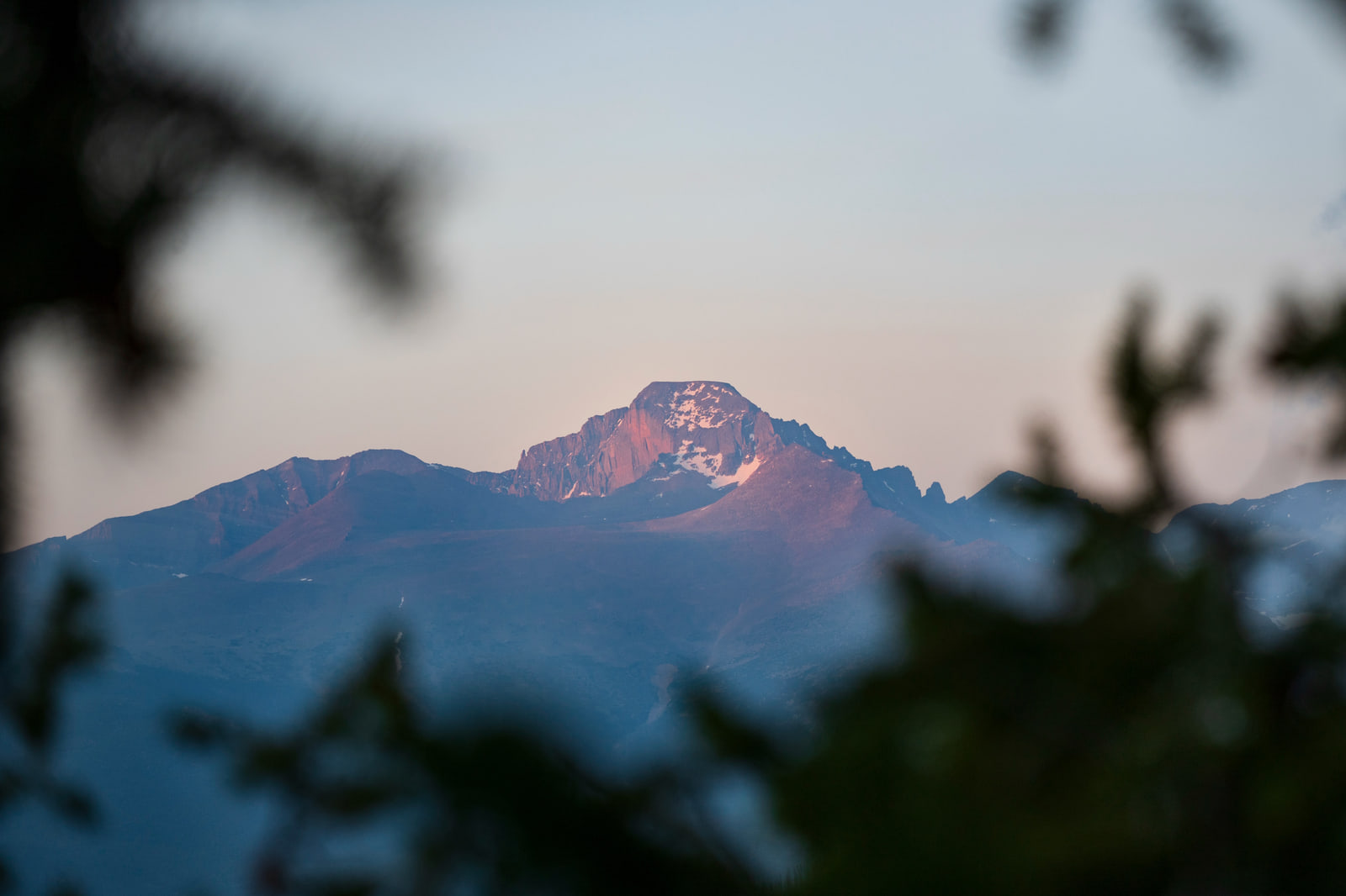 A distant mountain summit lit pink at sunset, framed by blurred dark pine branches.