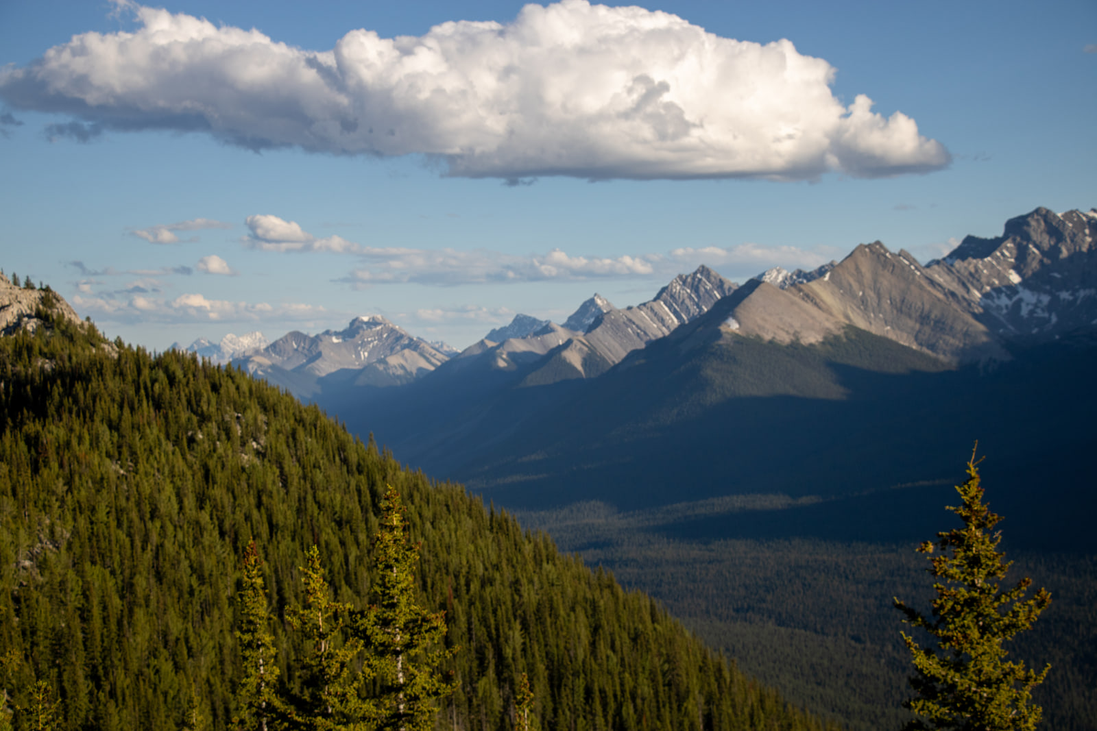 A single large white cloud floats above layered blue mountain ridges, with a sunlit evergreen slope sweeping in from the left.