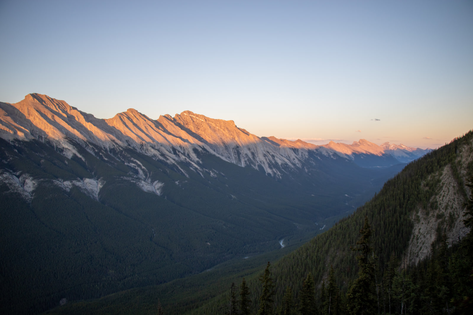 Coral alpenglow lights the summit of a long limestone ridge above dark forested slopes, with a steep conifer spur in the right foreground.