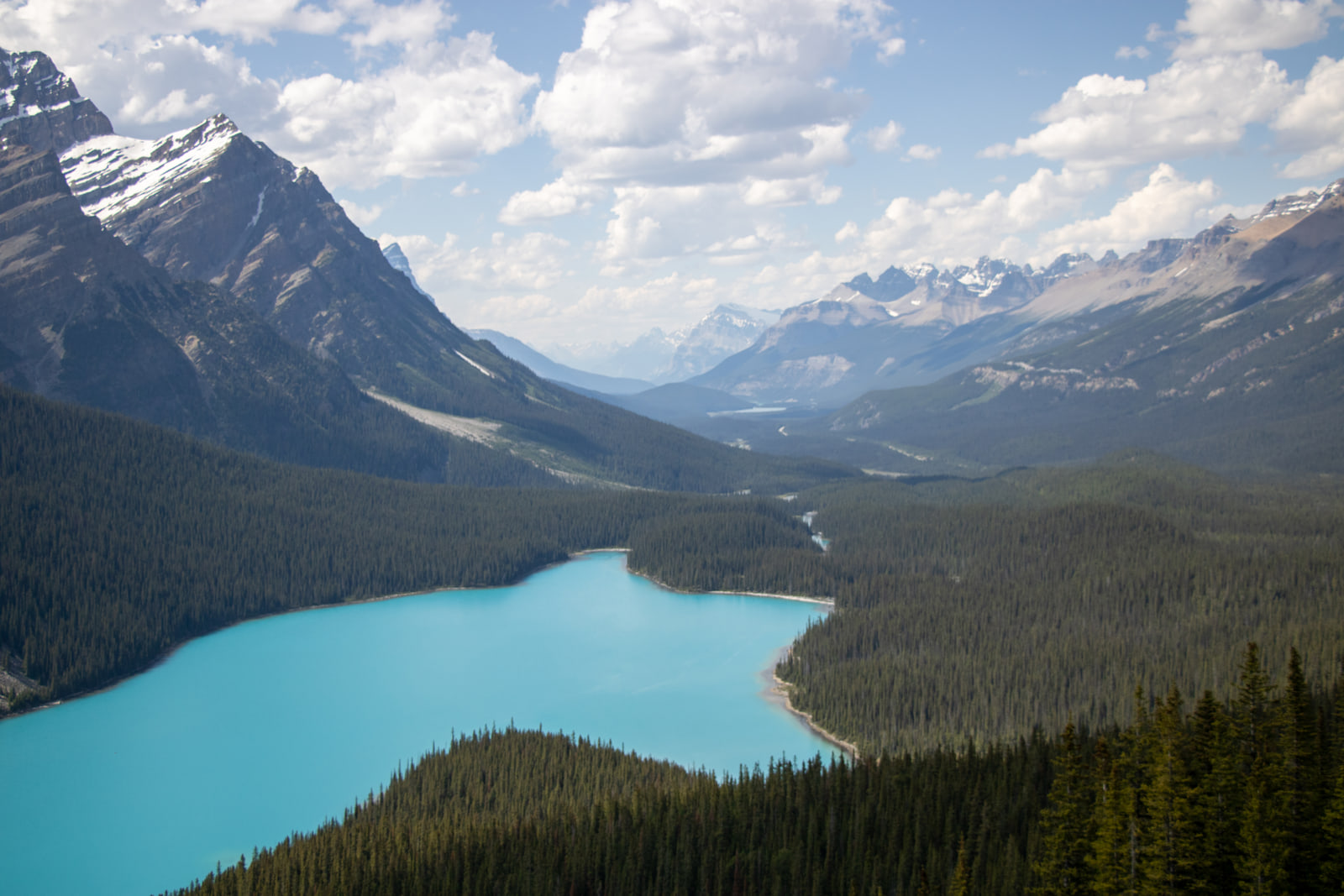 Vivid turquoise Peyto Lake with its pale silt delta, framed by a dark mountain ridge and ranges receding down a forested valley.